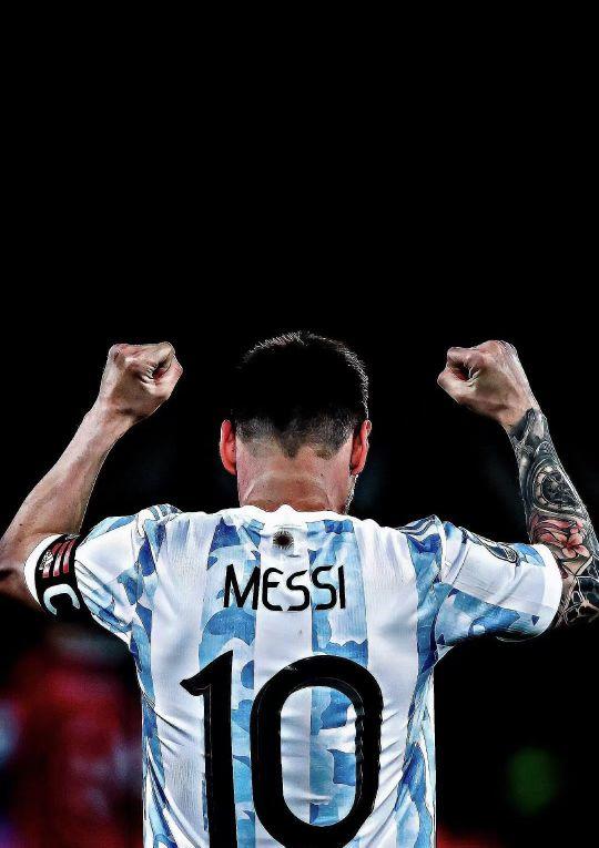 呈现出强有 呈现出强有